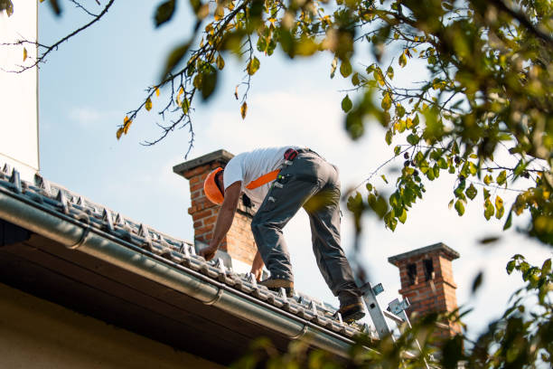 Best Best Roofing Contractors  in Luray, VA