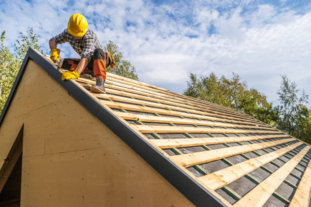 Best Metal Roofing Contractor  in Luray, VA