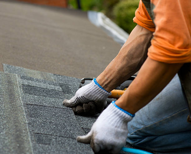 Best Shingle Roofing Installation  in Luray, VA