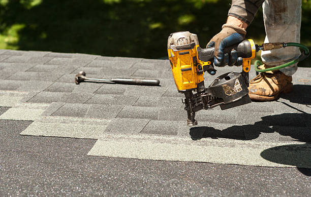 Best Roof Gutter Cleaning  in Luray, VA
