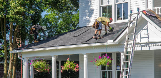 Best Affordable Roof Replacement  in Luray, VA