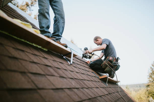 Best Roof Restoration Services  in Luray, VA